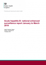 Acute hepatitis B: national enhanced surveillance report January to March 2019 Health Protection Report Volume 13 Number 35
